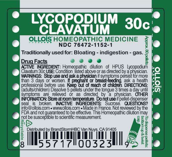 Lycopodium Clavatum